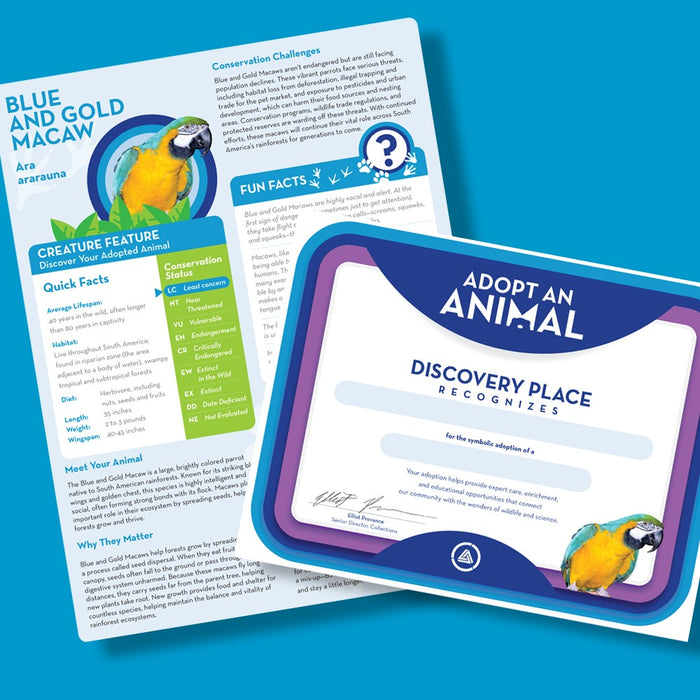 Discovery Place Blue Macaw Adoption Kit