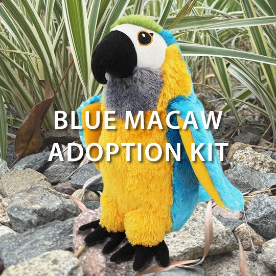 Discovery Place Blue Macaw Adoption Kit