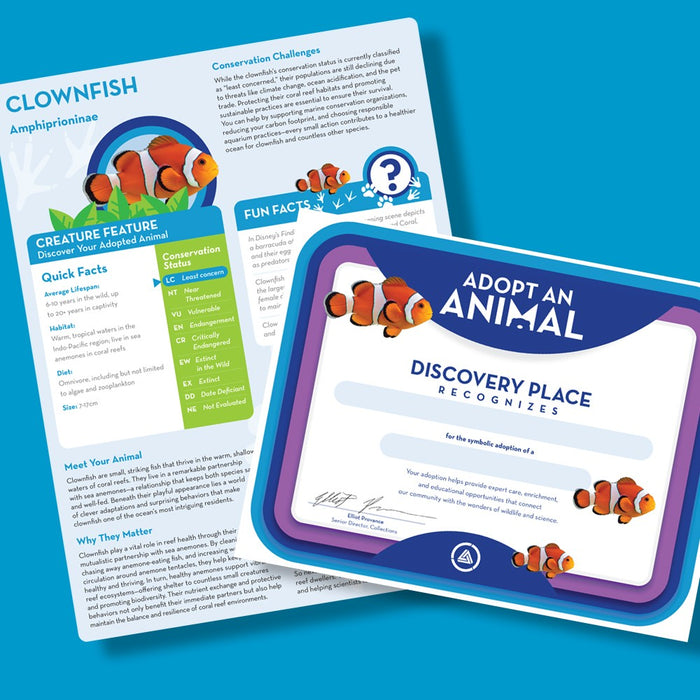 Discovery Place Clownfish Adoption Kit