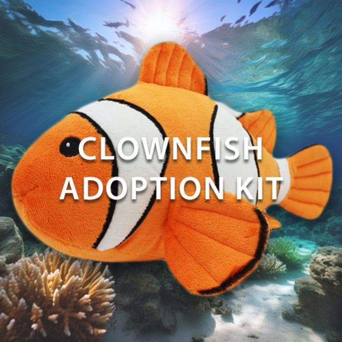 Discovery Place Clownfish Adoption Kit