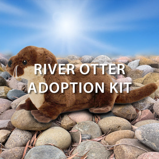 DIscovery Place River Otter Adoption Kit Bundle