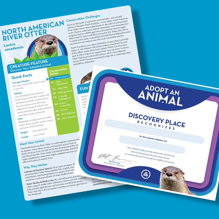 DIscovery Place River Otter Adoption Kit Bundle