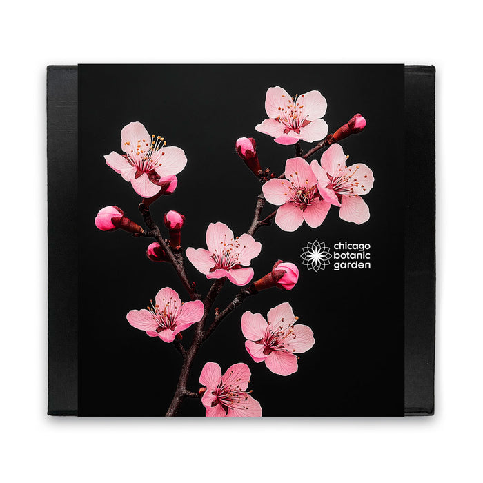 Chicago Botanic Garden Cherry Blossom Paper Weight