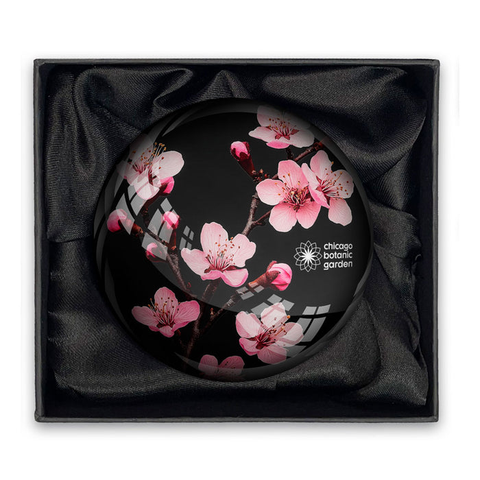 Chicago Botanic Garden Cherry Blossom Paper Weight