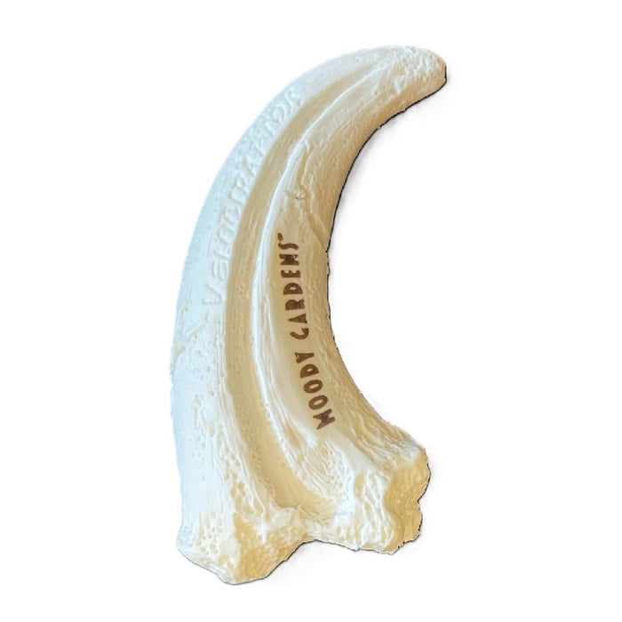 Moody Gardens Raptor Claw Magnet