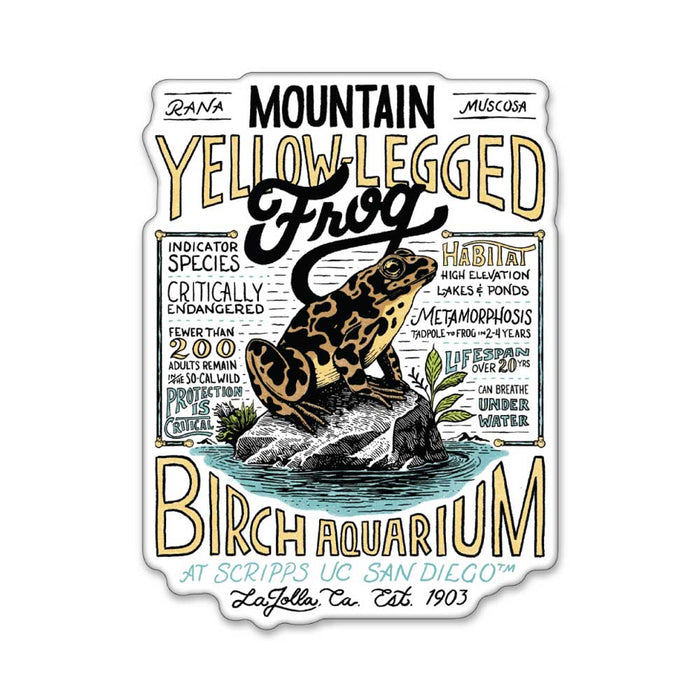 Birch Aquarium Mountain Yellow Frog Magnet