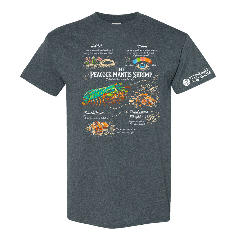 Tennessee Aquarium Peacock Mantis Shrimp T-Shirt — Muze Merch