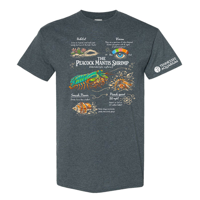 Tennessee Aquarium Peacock Mantis Shrimp T-Shirt