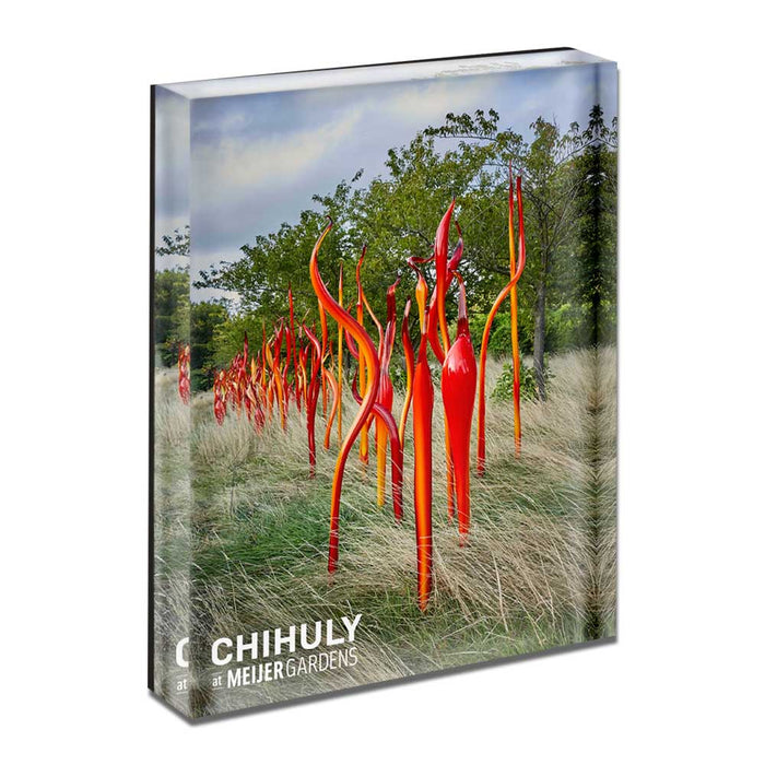 Chihuly at Meijer Gardens Cattails and Copper Birch Reeds Magnet