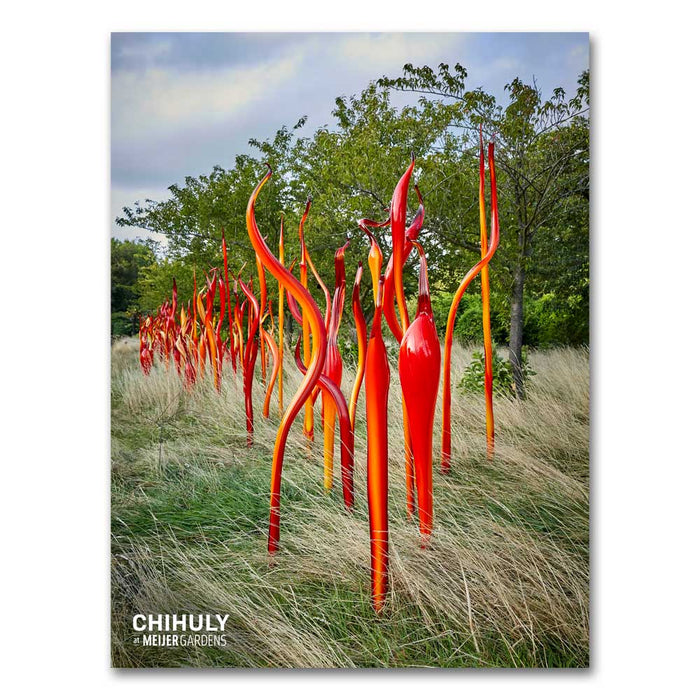 Chihuly at Meijer Gardens Cattails and Copper Birch Reeds Poster