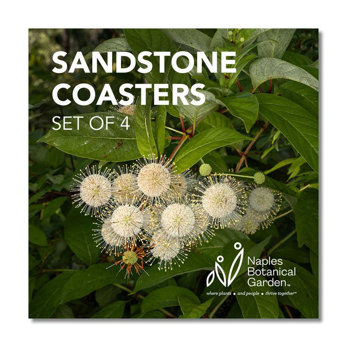 Naples Botanical Garden John Eder Coaster Set