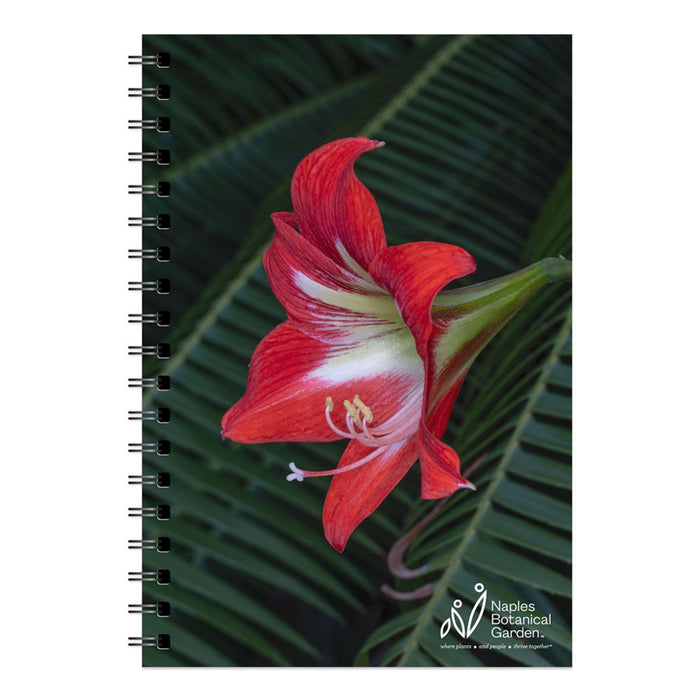 Naples Botanical Garden John Eder Amarylis Spiral Journal