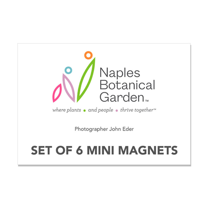 Naples Botanical Garden John Eder Magnet Set