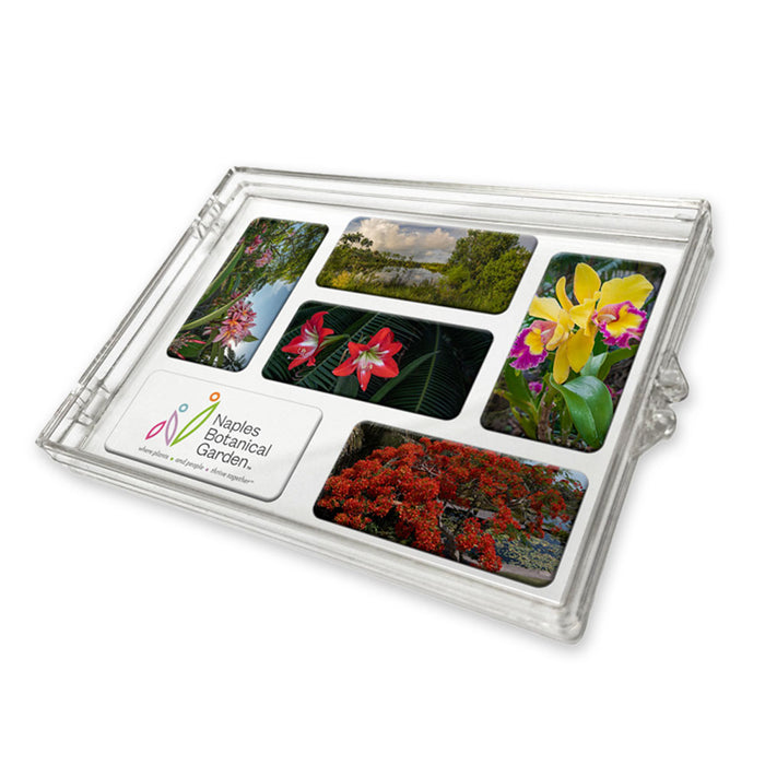 Naples Botanical Garden John Eder Magnet Set