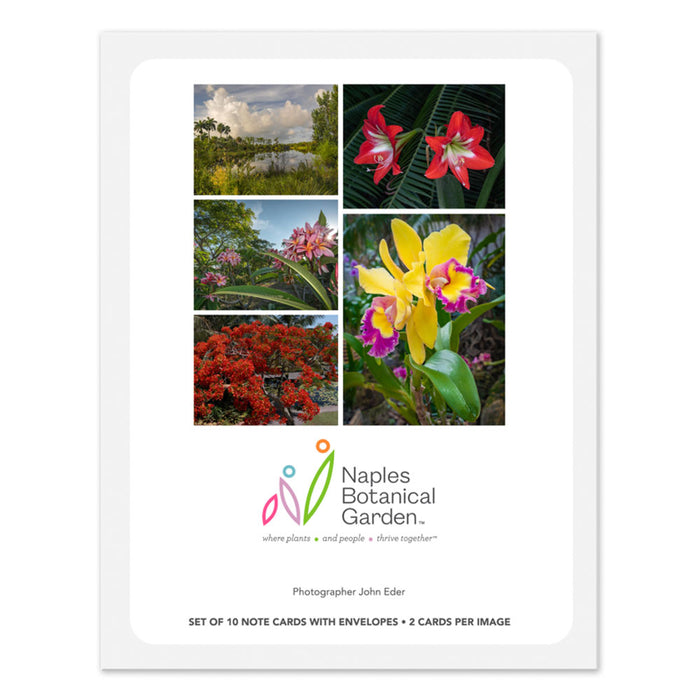 Naples Botanical Garden John Eder Notecard Set