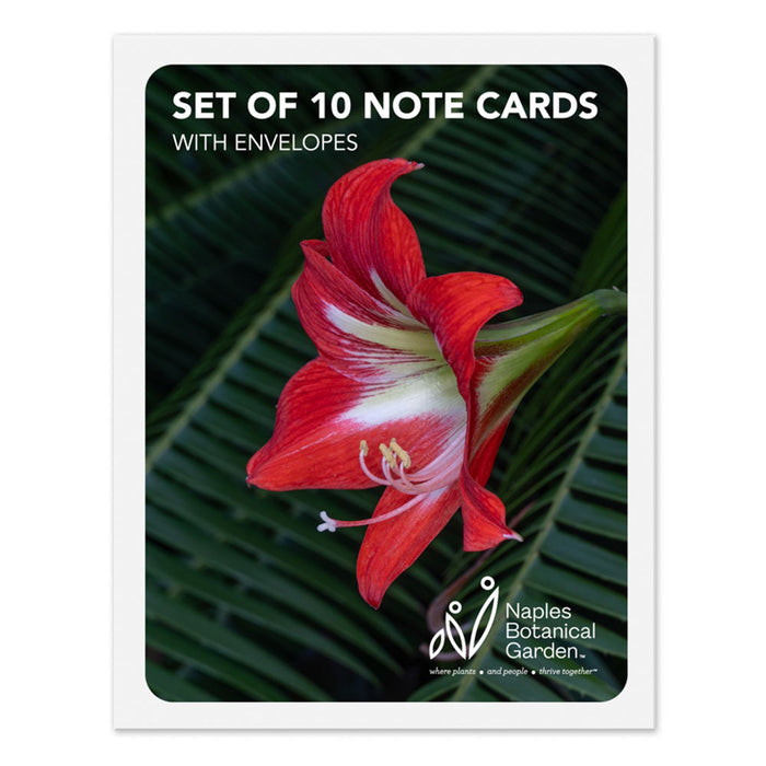 Naples Botanical Garden John Eder Notecard Set