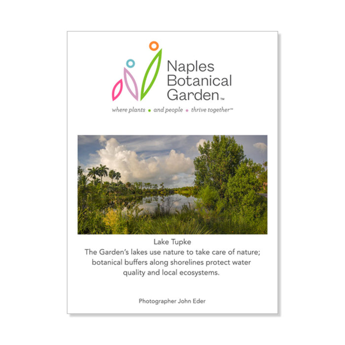 Naples Botanical Garden Lake Tupke Matted Print
