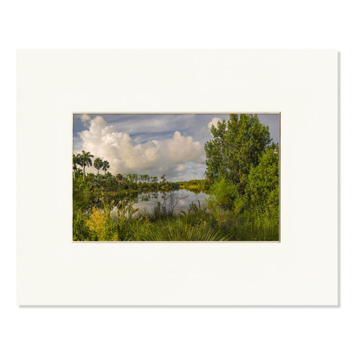 Naples Botanical Garden Lake Tupke Matted Print