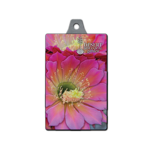 A vibrant keychain featuring a close-up image of a striking pink and yellow cactus flower surrounded by desert plants, with the Desert Botanical Garden logo in the upper right corner. Product Name: Desert Botanical Garden Pink Flower Keychain.