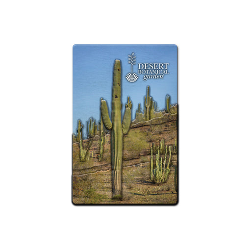 The Desert Botanical Garden Cactus Magnet showcases tall saguaro cacti and other desert plants against a sun-soaked landscape with a blue sky, and features the Desert Botanical Garden text and logo in the top right corner.
