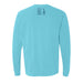 A light blue long-sleeve Desert Botanical Garden Will Beger Cactus T-Shirt seen from the back, featuring small black text and a stick-figure design near the neck that reads Desert Botanical Garden Wild Rising.