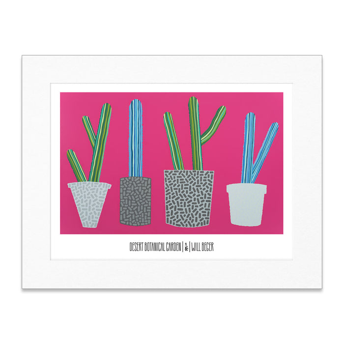 Four potted cacti with patterned pots are illustrated on a bright pink background in this vibrant Desert Botanical Garden Will Beger Green & Blue Cactus Matted Print. Text below reads Desert Botanical Garden | Jill Becce.