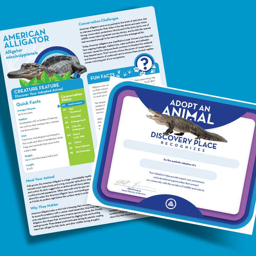 The Discovery Place American Alligator Adoption Kit includes two sheets: one featuring facts and information about the American Alligator and its importance in wildlife conservation, and another—a certificate titled "Adopt an Animal" with an alligator image—recognizing your symbolic adoption from Discovery Place. Both come on a blue background.