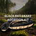 A plush Black Rat Snake toy from the Discovery Place Black Rat Snake Adoption Kit rests on a forest floor, while sunlight streams through tall trees in the background. The scene is accented by text that reads Discovery Place Black Rat Snake Adoption Kit, highlighting your symbolic adoption and commitment to ecosystem conservation.
