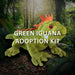 A soft Green Iguana plush toy with an orange crest is showcased in a vibrant jungle scene, supporting rainforest preservation. Text reads, DISCOVERY PLACE GREEN IGUANA ADOPTION KIT—your symbolic adoption helps protect these remarkable animals and their natural environment.
