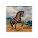 Frederik Meijer Gardens & Sculpture Park American Horse Magnet featuring a square, watercolor-style illustration by Walker Noble of a dark horse prancing in a field under a cloudy sky.
