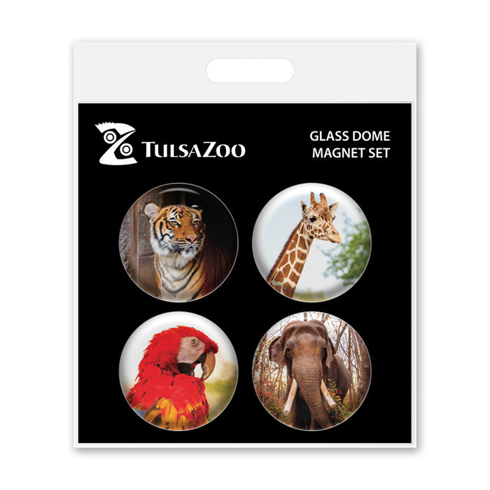 A set of four round glass dome magnets featuring vibrant animal illustrations—a tiger, giraffe, parrot, and elephant—with "Tulsa Zoo Est. 1928. Glass Dome Magnet Set" displayed on the packaging.