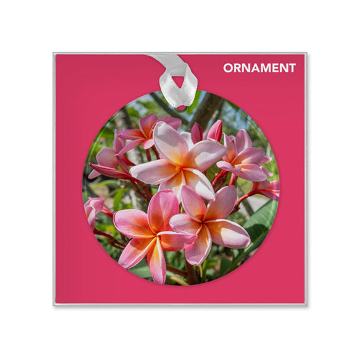Presenting the “Naples Botanical Garden John Eder Ornament”—a decorative piece featuring a photograph of pink and white plumeria flowers set against a vivid pink square background, adorned with a white ribbon and the word “ORNAMENT” in the upper right corner, inspired by the vibrant blooms at Naples Botanical Garden.