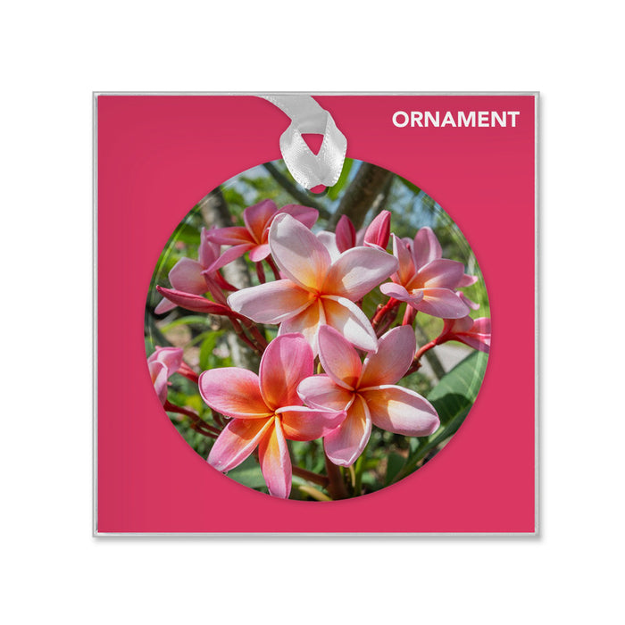 Presenting the “Naples Botanical Garden John Eder Ornament”—a decorative piece featuring a photograph of pink and white plumeria flowers set against a vivid pink square background, adorned with a white ribbon and the word “ORNAMENT” in the upper right corner, inspired by the vibrant blooms at Naples Botanical Garden.