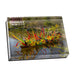 A rectangular Chihuly at Meijer Gardens Fiori Boat Magnet featuring a boat filled with colorful, abstract glass sculptures floating on a pond, with the text CHIHULY at MEIJERGARDENS printed in the upper left corner.