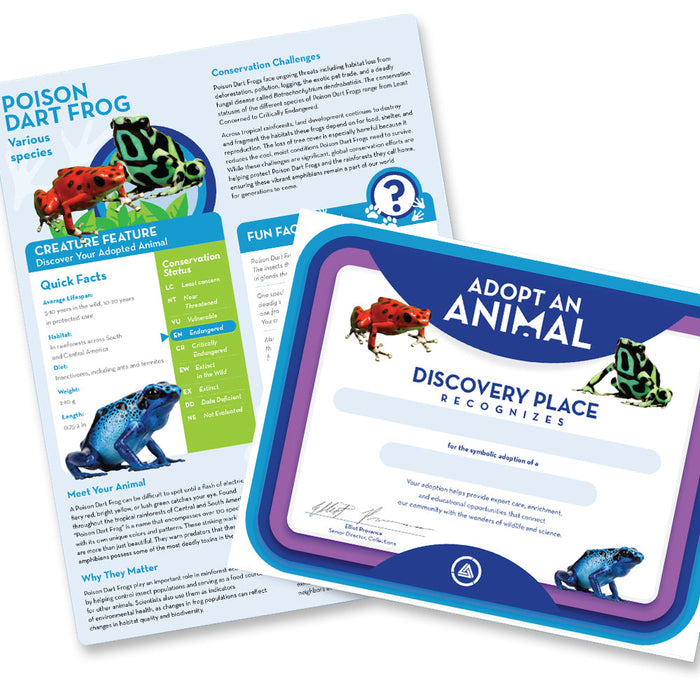 The Discovery Place Poison Dart Frog Adoption Kit includes two documents: a vibrant, symbolic adoption certificate featuring colorful blue and green poison dart frogs, and an educational sheet packed with facts, photos, and rainforest conservation information about these fascinating amphibians.