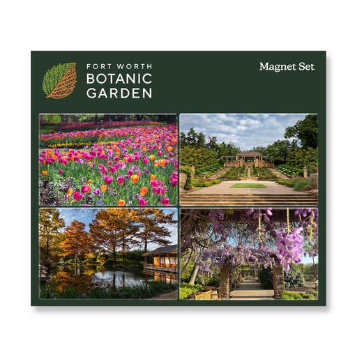 A Fort Worth Botanical Garden Magnet Set of four rectangular magnets featuring a tulip garden, stone staircase, pond, and a wisteria-covered arbor highlighting Texas flora.