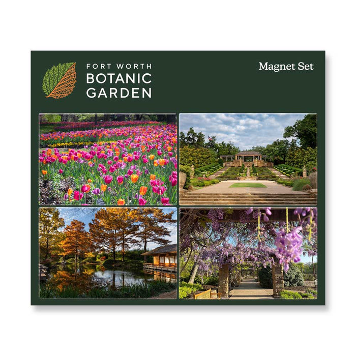 A Fort Worth Botanical Garden Magnet Set of four rectangular magnets featuring a tulip garden, stone staircase, pond, and a wisteria-covered arbor highlighting Texas flora.
