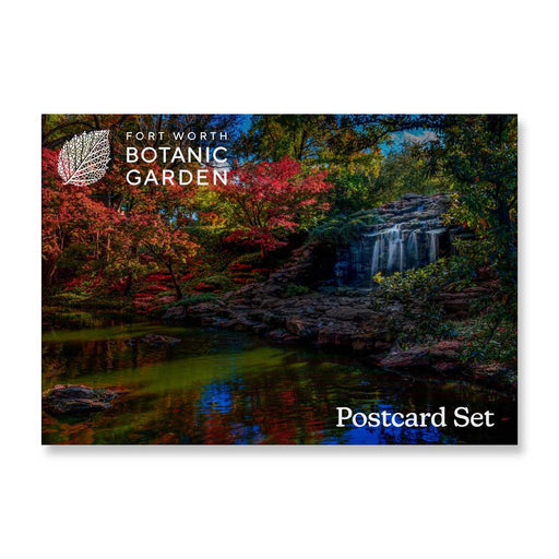 A Fort Worth Botanical Garden Post Card Set featuring a small waterfall cascading over rocks into a pond, surrounded by lush trees with vibrant autumn foliage.