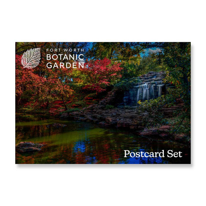 A Fort Worth Botanical Garden Post Card Set featuring a small waterfall cascading over rocks into a pond, surrounded by lush trees with vibrant autumn foliage.