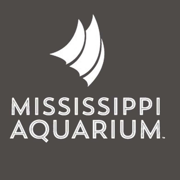Mississippi Aquarium Sweatshirt Blanket | Carbon