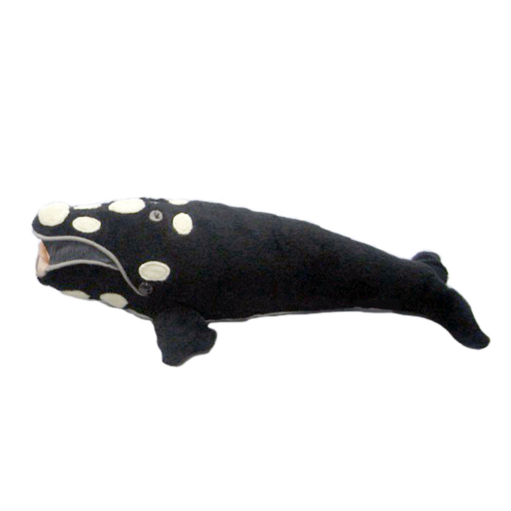 Right Whale Plush — Muze Merch