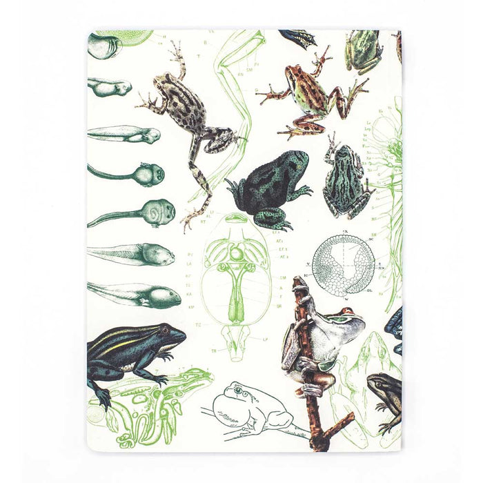 Frogs Softcover Notebook