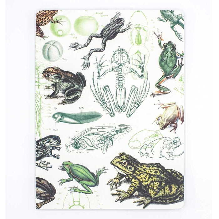 Frogs Softcover Notebook
