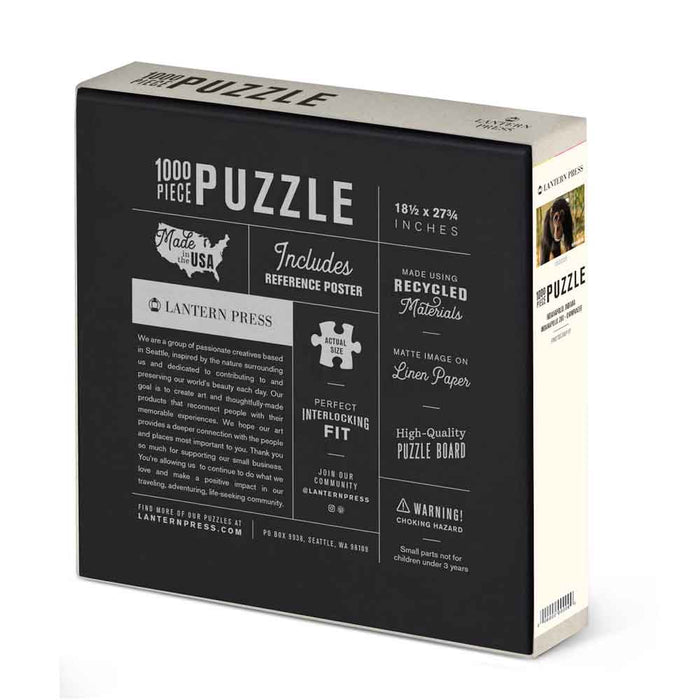Indianapolis Zoo Chimp Puzzle