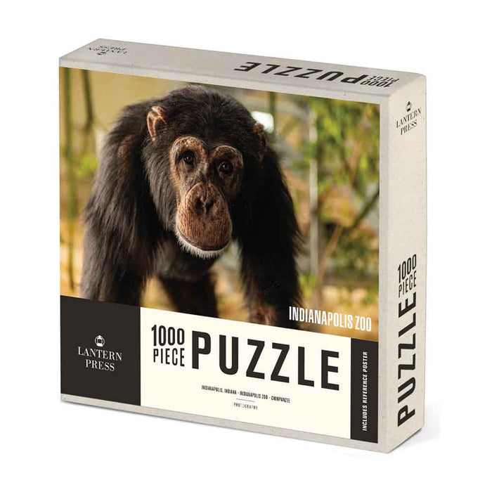 Indianapolis Zoo Chimp Puzzle