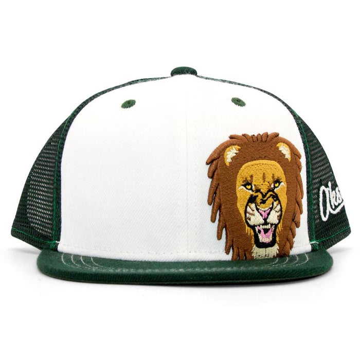 Kids Lion Flat Brim Hat