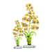 Two Yellow King Orchid Acrylic Figures featuring yellow and maroon orchid plants on clear circular bases.