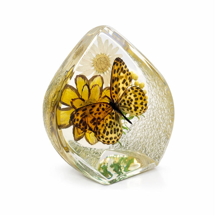 Butterfly Paperweight