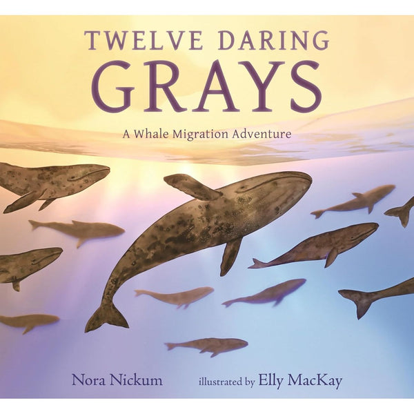 Twelve Daring Grays: A Whale Migration Adventure (Hardcover)