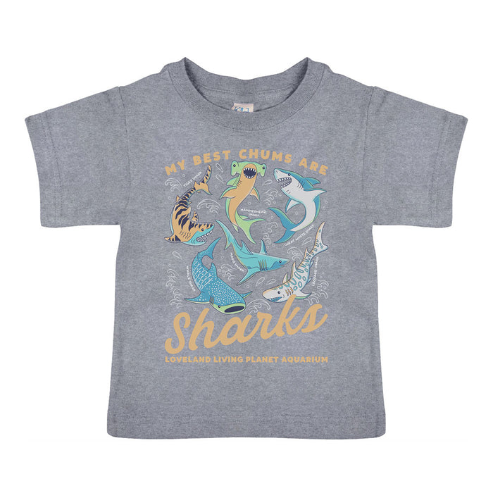 Loveland Living Planet Aquarium Best Chums Shark Toddler T-Shirt